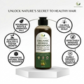 Organic Herbal Shampoo