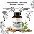 Shatavari Roots Extract Capsules