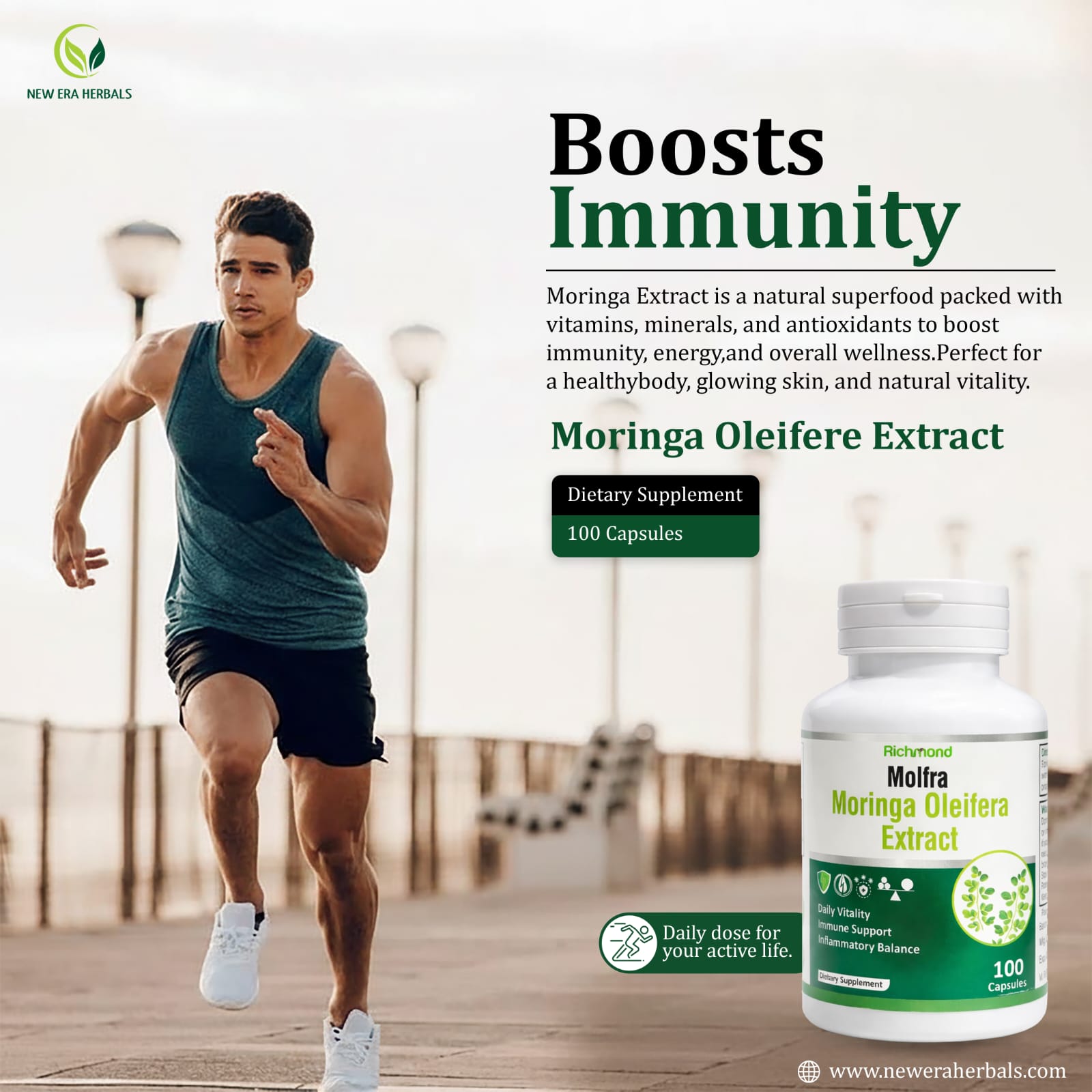 Molfra Moringa Oleifera Extract