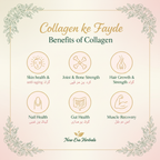 collegen k kin kin purpose k ly use hota h 1 post bna dy 