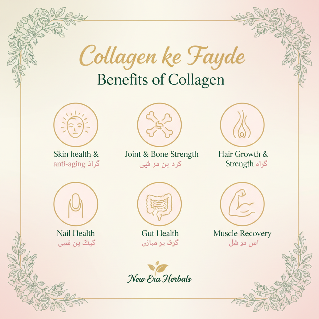 collegen k kin kin purpose k ly use hota h 1 post bna dy 